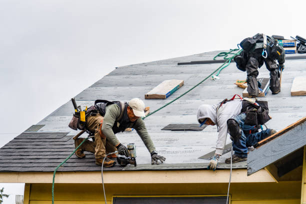 Professional Roofing technician working in Somonauk, IL